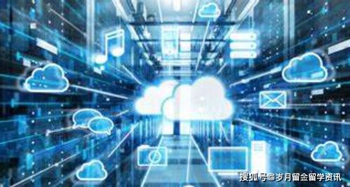 在美国学习信息技术专业后的职业选择