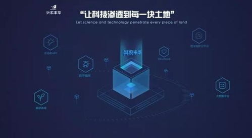 兴农丰华与国家玉米改良中心达成战略合作 信息技术驱动玉米工程化育种创新